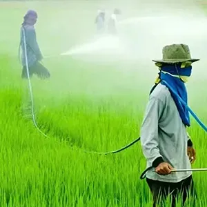 Pesticide