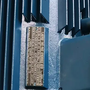 ATEX-Certified Motor (Customized)