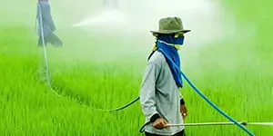Pesticides and Fertilizers