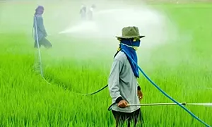 Pesticides and Fertilizers